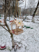 Конкурс "Накормите птиц зимой" Конкурс "Накормите птиц зимой".